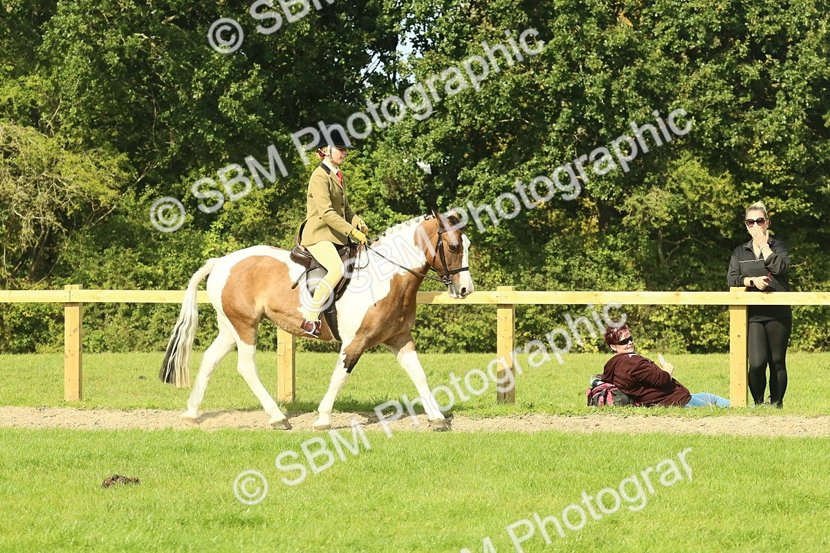 SBM_67395 - S56 - Coloured Pony Ridden