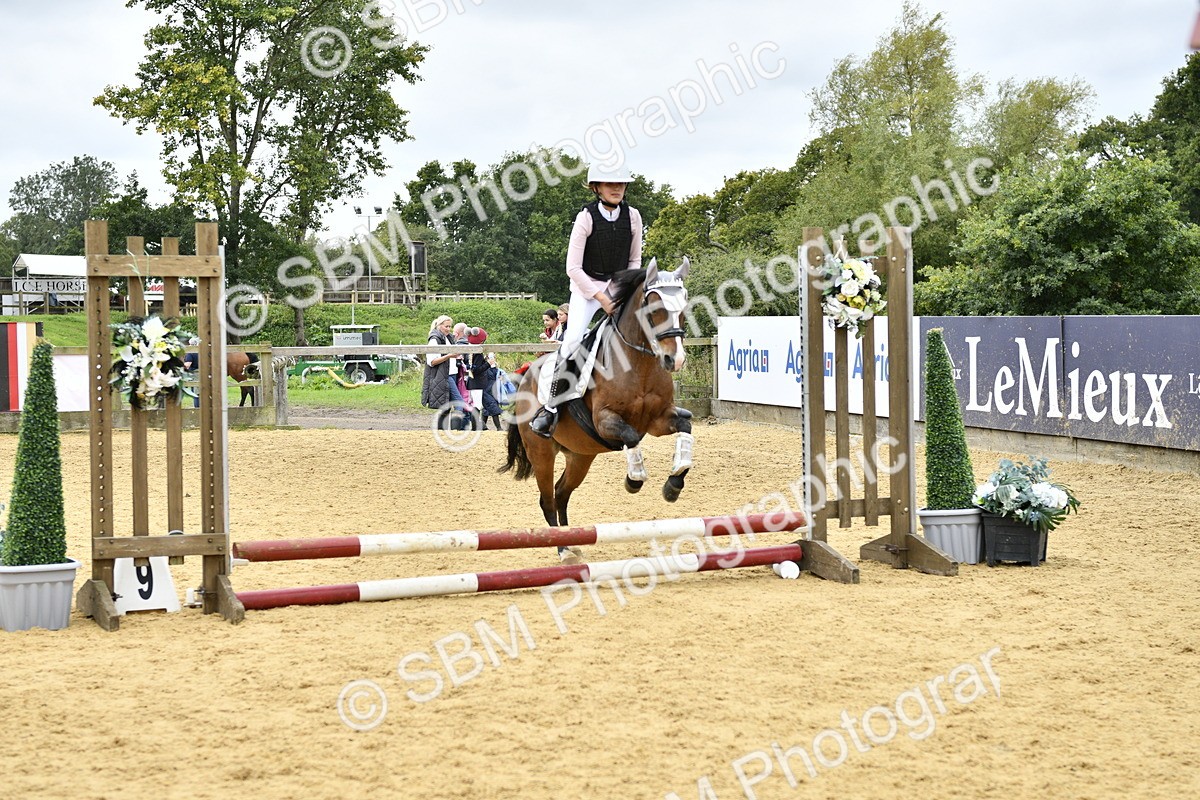 SBM_67973 - J2b - Mini Tour Junior Pony 30cm championship