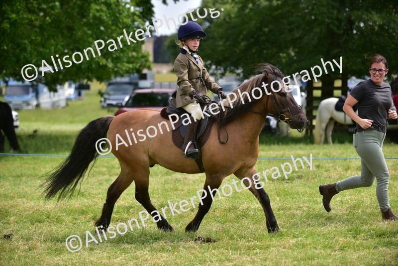 20260614-3990 - Class 16 - Handsome Gelding