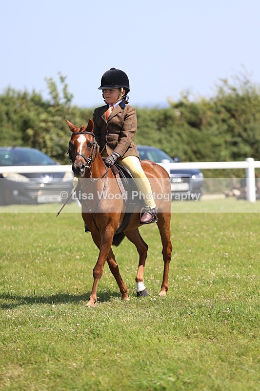 JPP_2233 - Class 20: Tiny Tots Working Hunter Pony