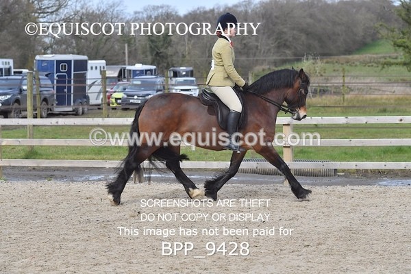 BPP_9428 - RING 2 - M&M