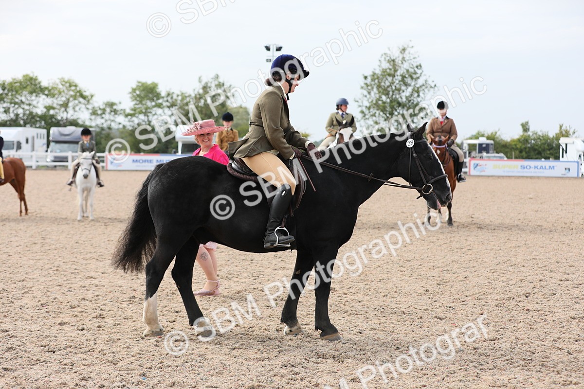 SBM_17018 - Class 314 Family Horse/Pony