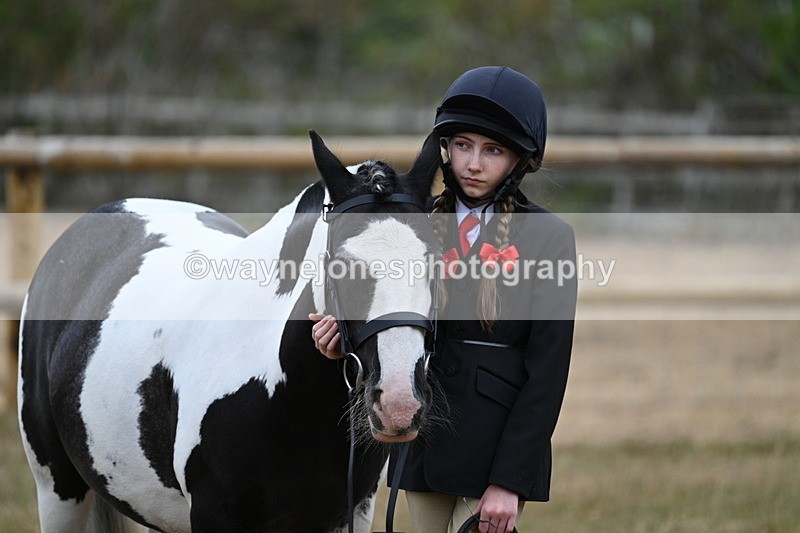 WJ7_8531 - Class 4 Prettiest Mare up to 14.2hh