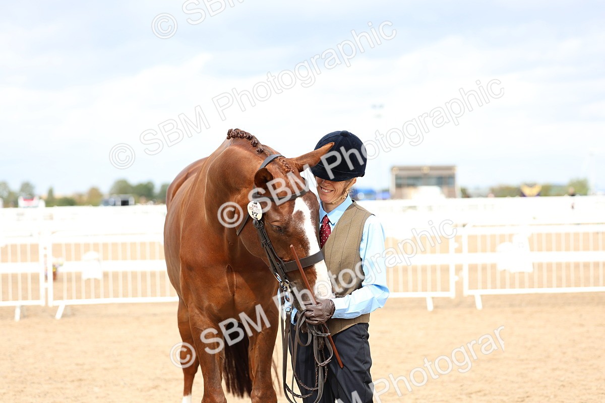 SBM_03970 - Class 25 - IH Foreign Breeds - Pure Bred