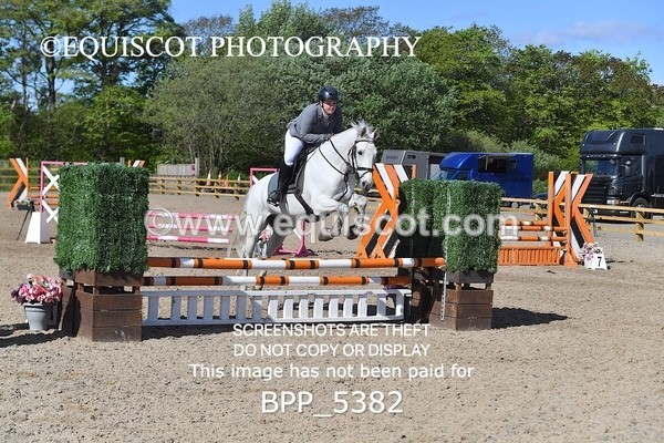 BPP_5382 - CLASS 22 SUN Club/ Unaffiliated 80cms Open