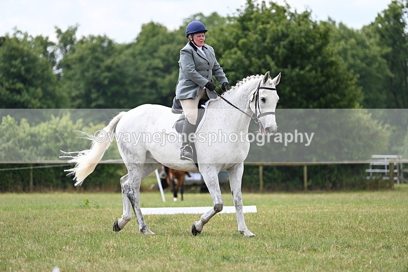 WJ7_5018 - Time 11:22 to 11:51