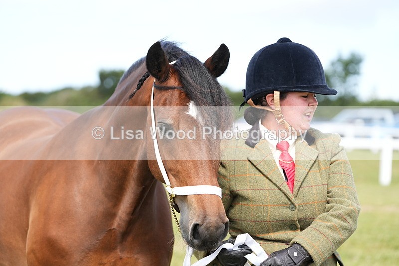 DSC05777 - Class 51: NPS M&M 4 years and over Large Breeds