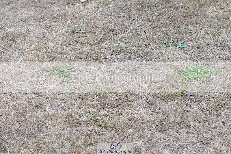 250820A-181200-12602 - Wednesday Presentations