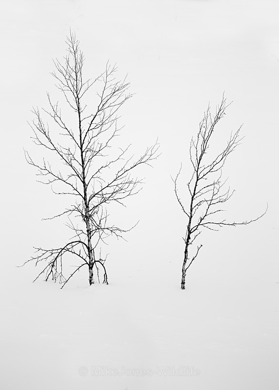 Landscape Photography, Karesuando, Northern Finland/Sweden - FINLAND & SWEDEN LANDSCAPES