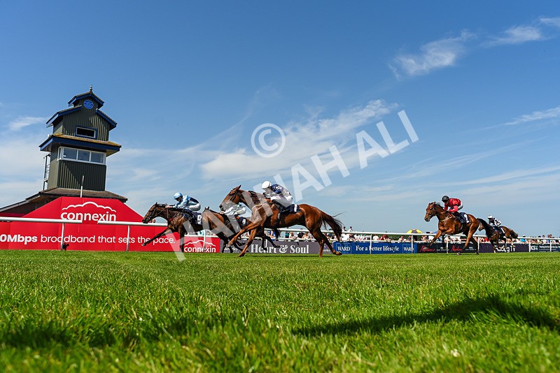 230626-Race 3-Tamzan-5259 - Race 3 15.15pm Big Racing Weekender Next 3 And 4 July Restricted Maiden Stakes