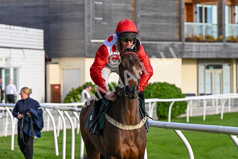 211125-Race 4-Silver Hill-7504 - Race 4