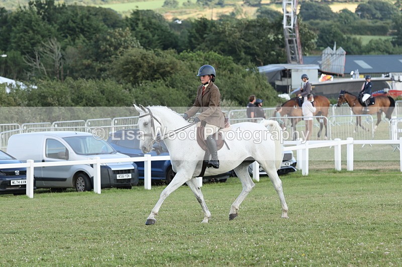 JPP_3693 - Class 24: Open Working Hunter