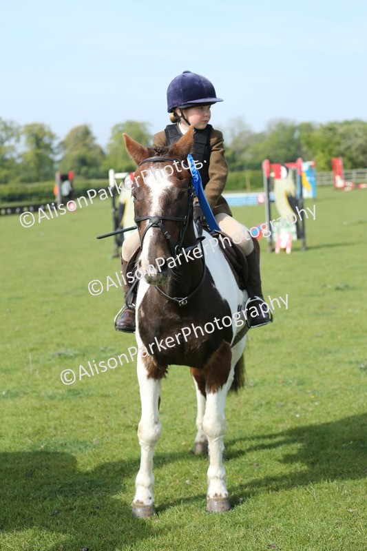 20260426-0253 - Class 13 - Rookie Jumping 50cm
