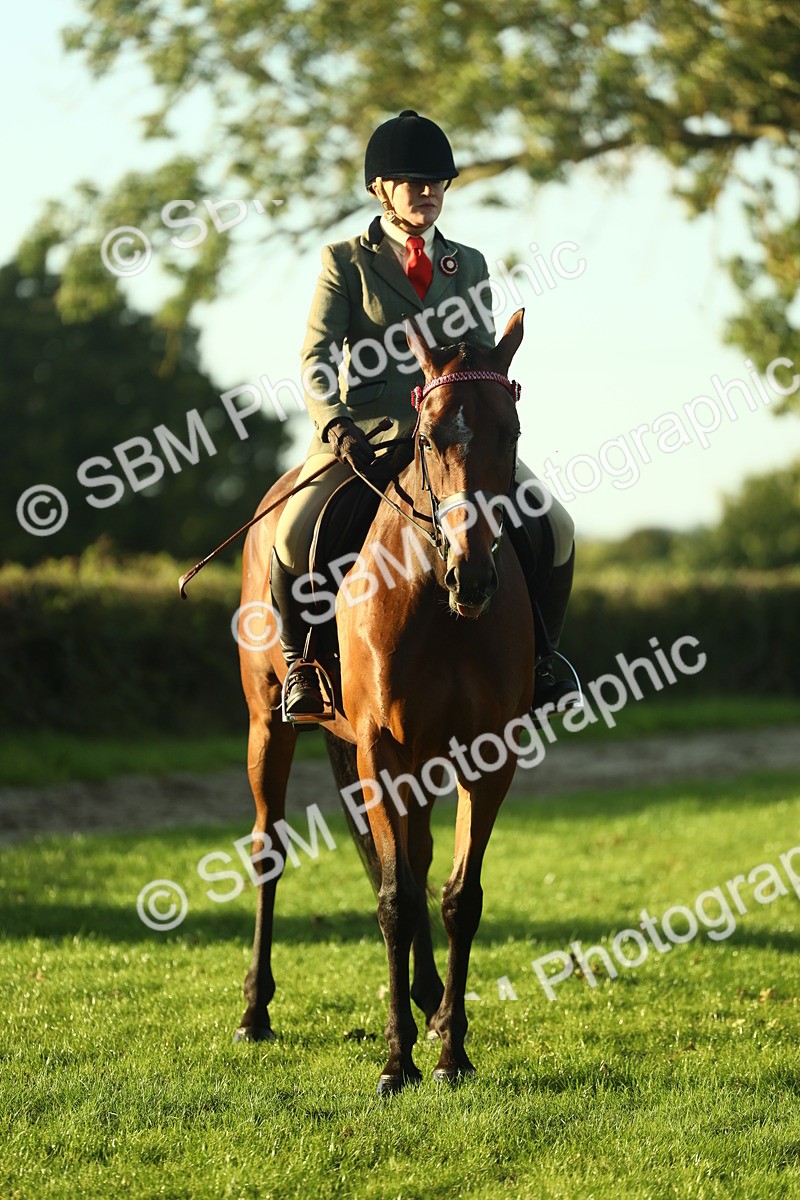 SBM_55552 - S14 - Riding Club Horse