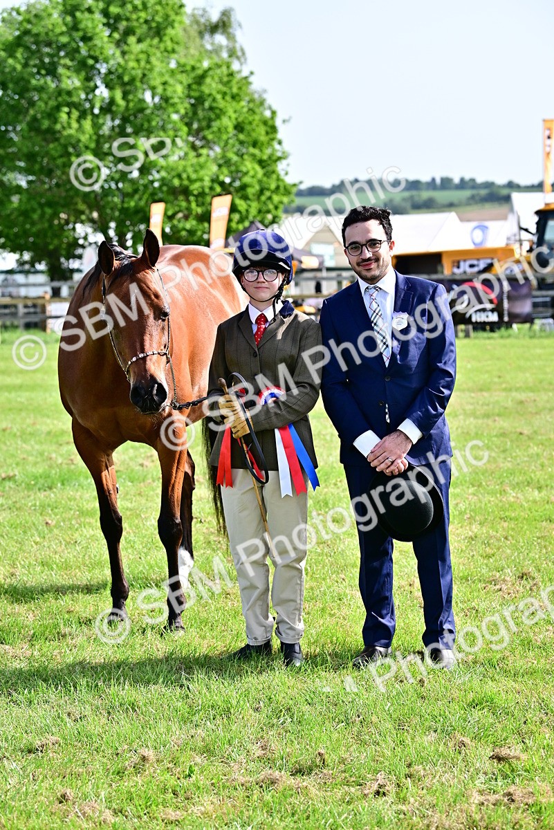 SBM_01058 - Class 46-49 - Arab and Part Bed-Anglo Arab In Hand