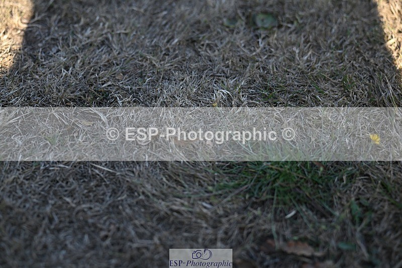 250822A-171429-24471 - Friday Presentations