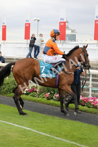 yr23072022r7-5 - Race 7 5.35pm Sky Bet Paying Extra Places Stakes