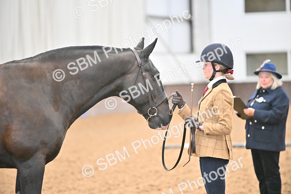 SBM_000099 - Class 4 - BSHA In Hand Show Cob