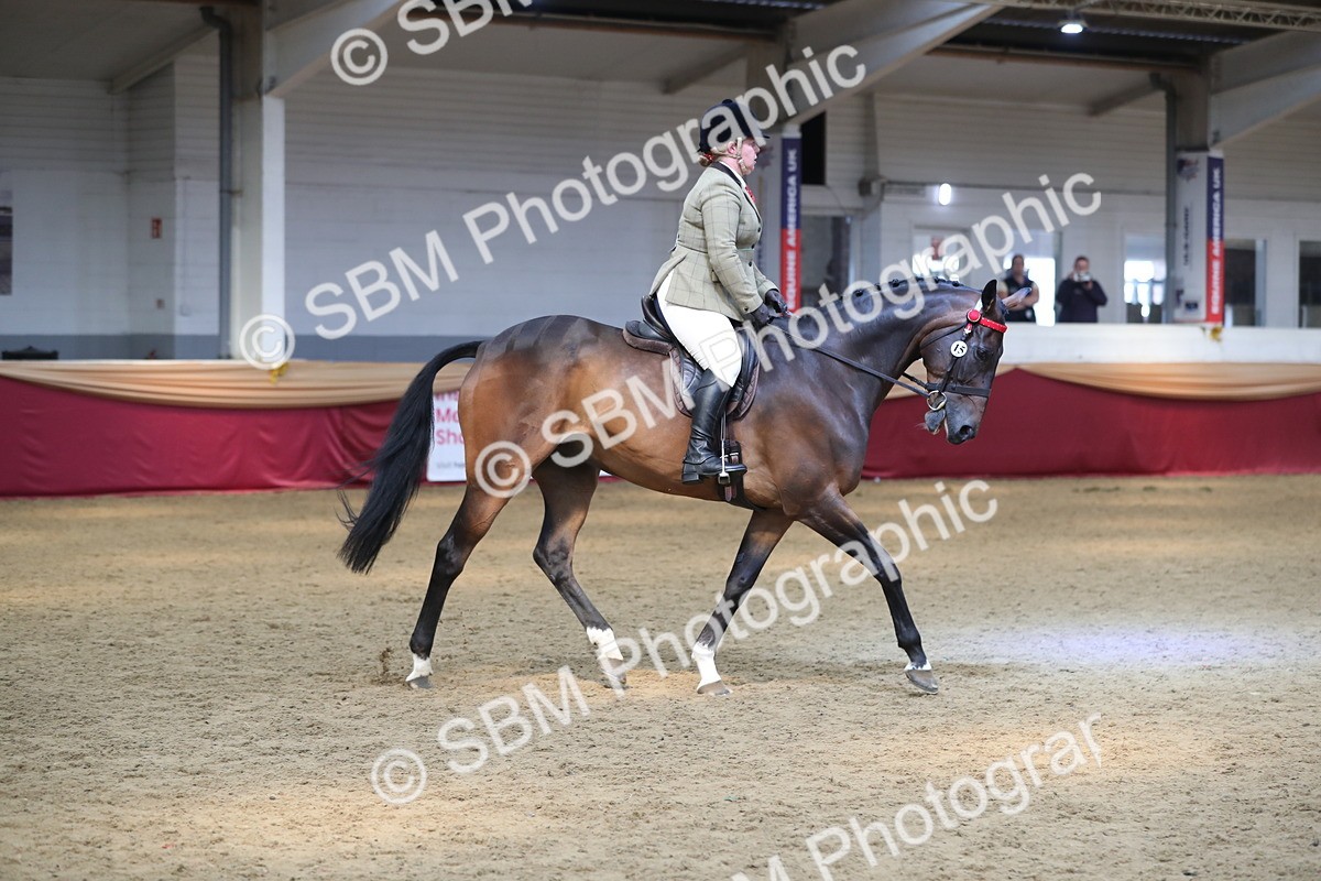 SBM_12380 - Class 108 Ridden Retired Racehorse- Pre Judging