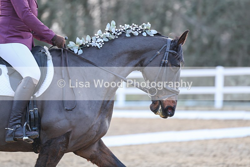 3E7A5069 - Class 5: Novice