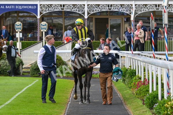 310525-Race 6-Dantes Lad-0113 - Race 6 4.25pm Royal Yorkshire Regiment Handicap