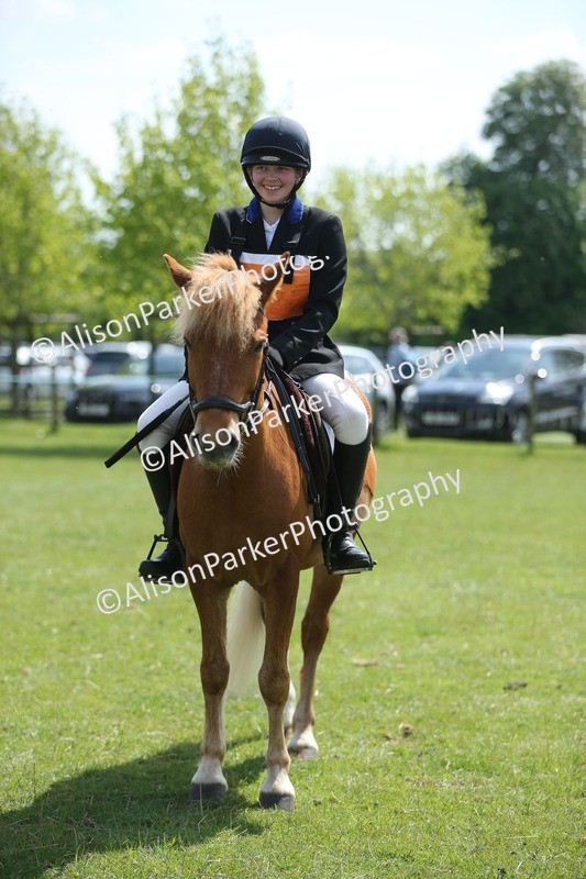 20250427-3435 - Class 8 - Handsomest Gelding