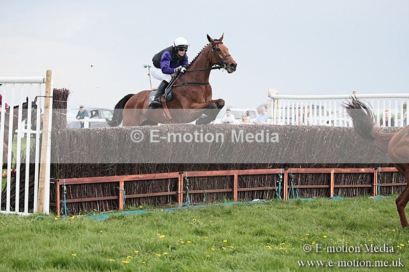 PtP 210418 375 - South & West Wilts Point-to-Point Larkhill 21/04/18