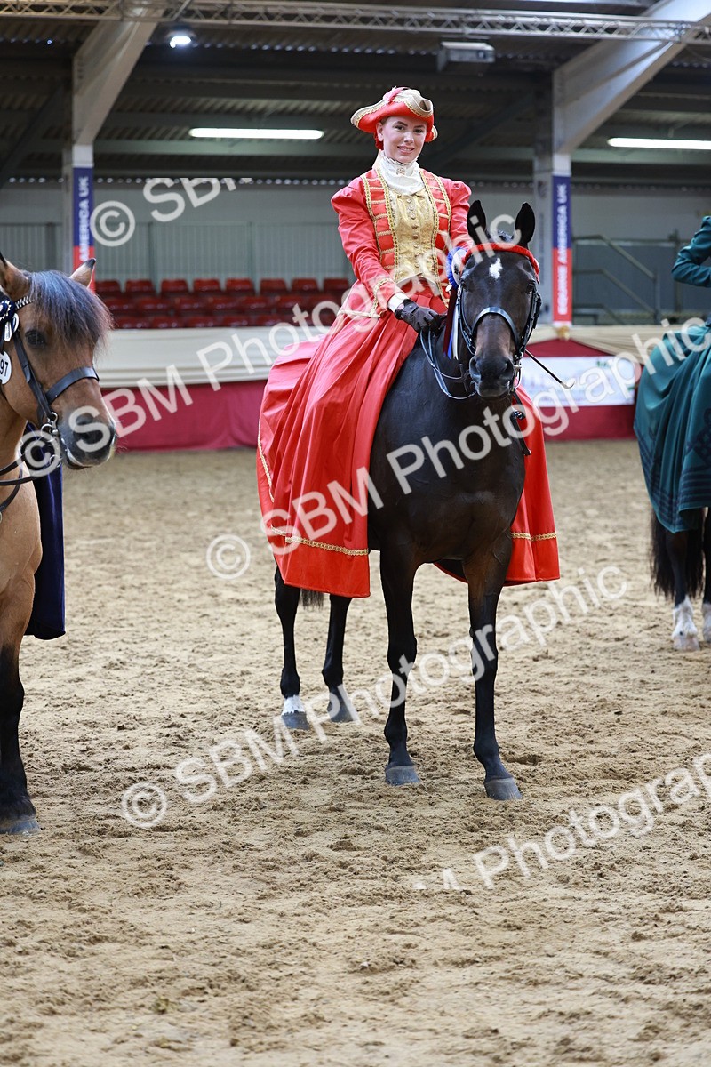 SBM_14848 - Class 107 - Ridden Costume - Astride Adult  (20+)