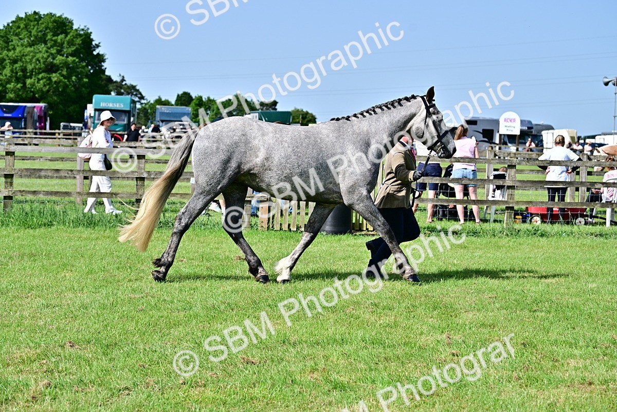 SBM_03317 - Class 50 - 54 Light Horse Breeding