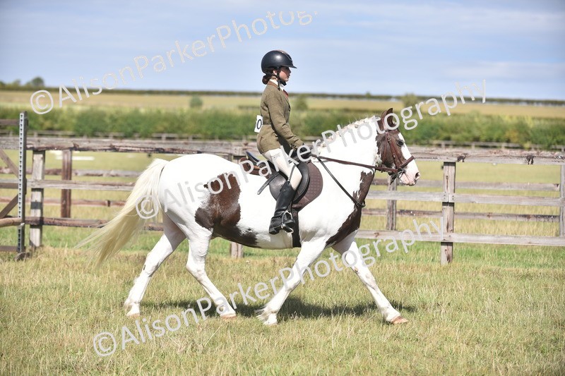 20260906-2659 - Class 12 - 14.2hh and Under