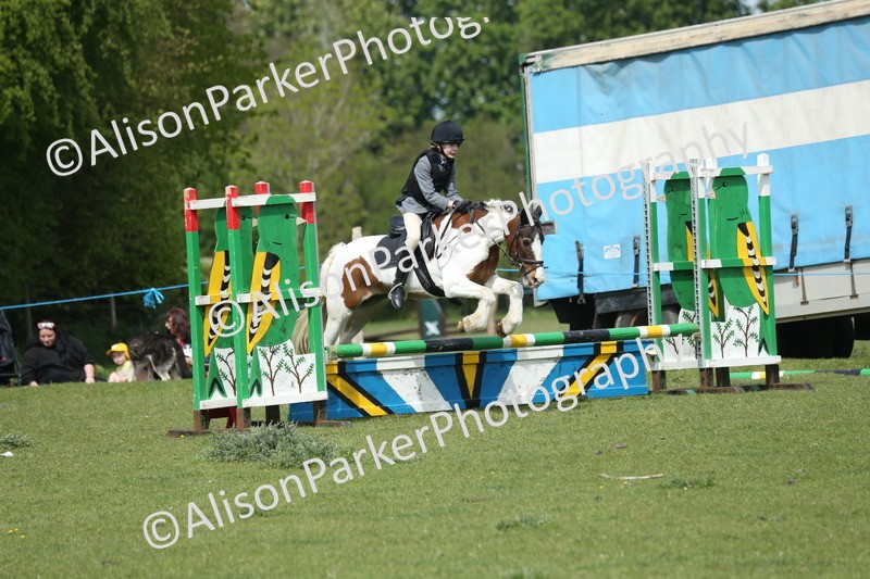 20260426-1768 - Class 14 - Novice 60cm