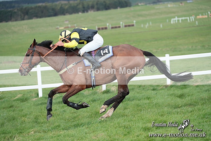 PtP 230324 904 - Tedworth Hunt PtP Larkhill Raccourse 23rd March 2024