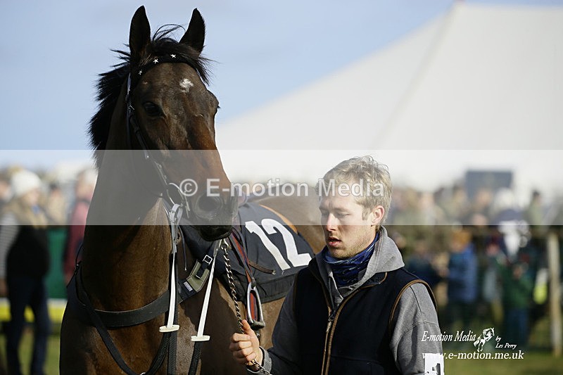 PtP 300122 303 - South Dorset Hunt - Point-to-Point Races 30/01/2022