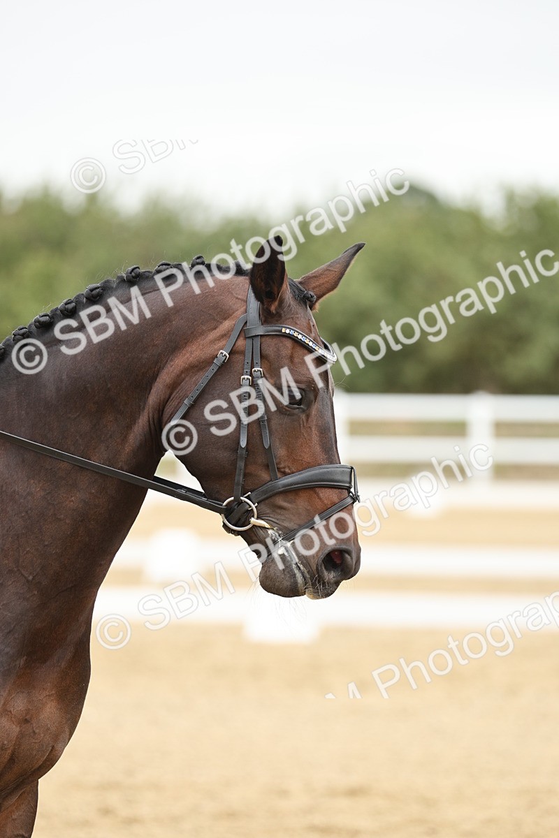 SBM_006976 - Class 21 - Medium 5 Bronze - 10.04-10.52