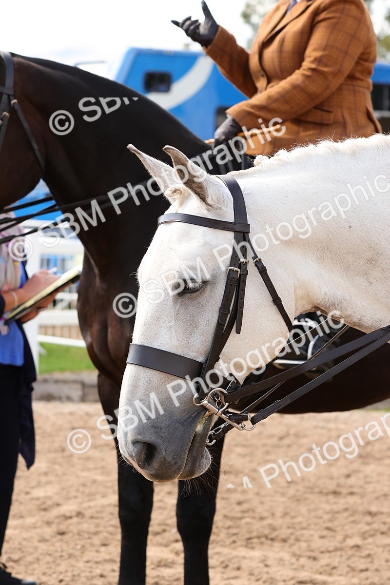 SBM_13544 - Class 212 - Ridden Hunter  - Large