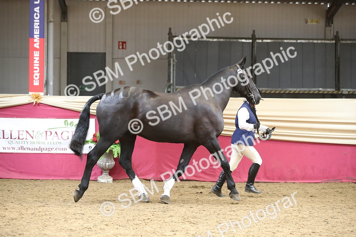 SBM_05279 - Class 8R - Regional IH Veteran