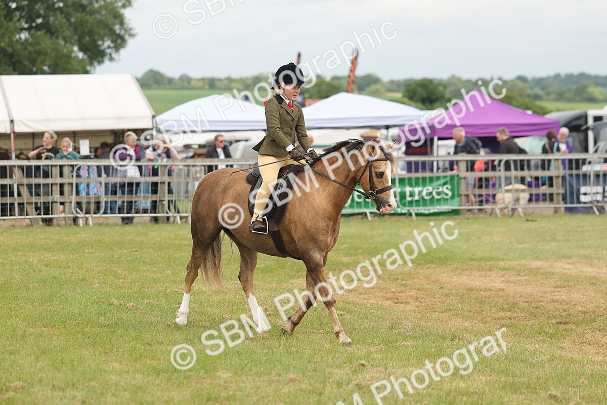 SBM_06873 - Class 74-75 - M&M Lead Rein and First Ridden Pony