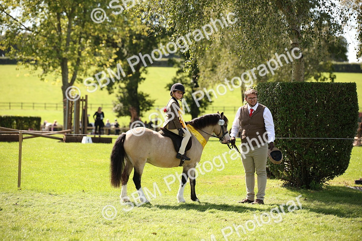 SBM_40891 - Fun Showing Supreme Championship