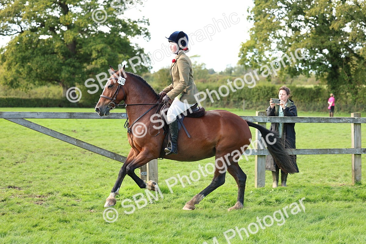 SBM_45507 - S33 - Working Hunter Pony