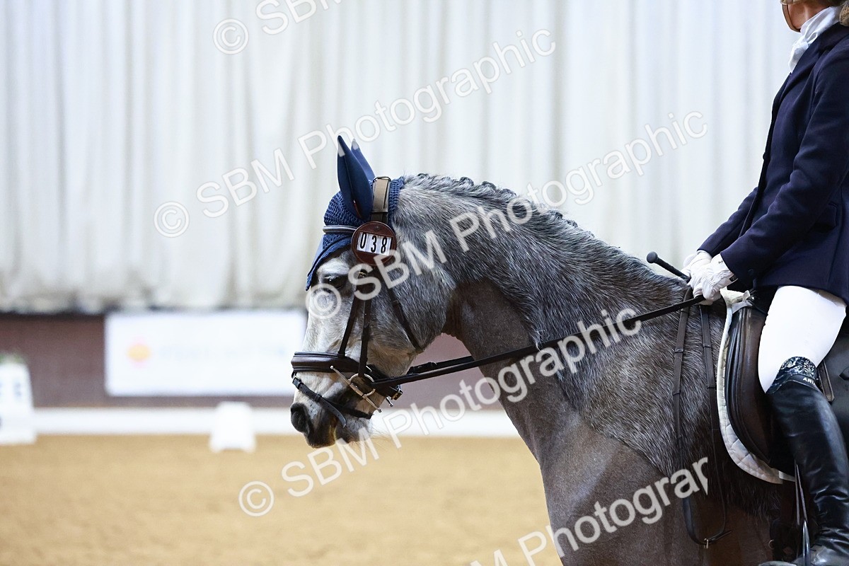 SBM_002677 - Novice Music