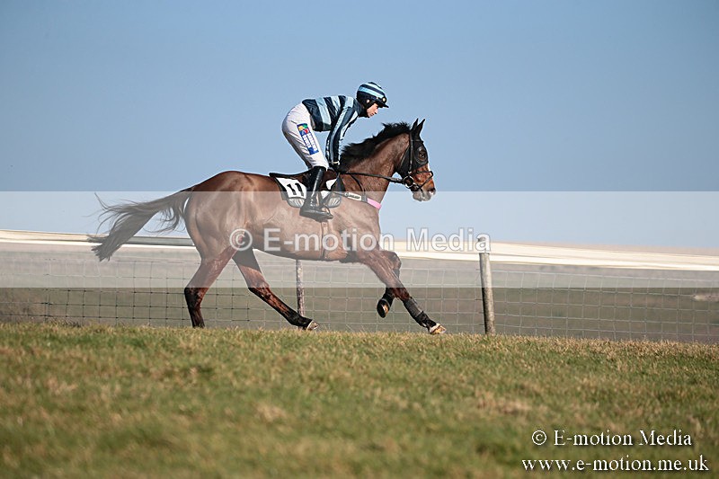 PtP 230219 408 - Vine & Craven Point-To-Point - Barbury 23/02/19
