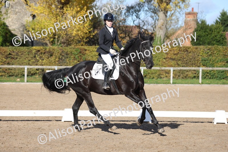 20251102-0772 - Class 4 - Novice 6