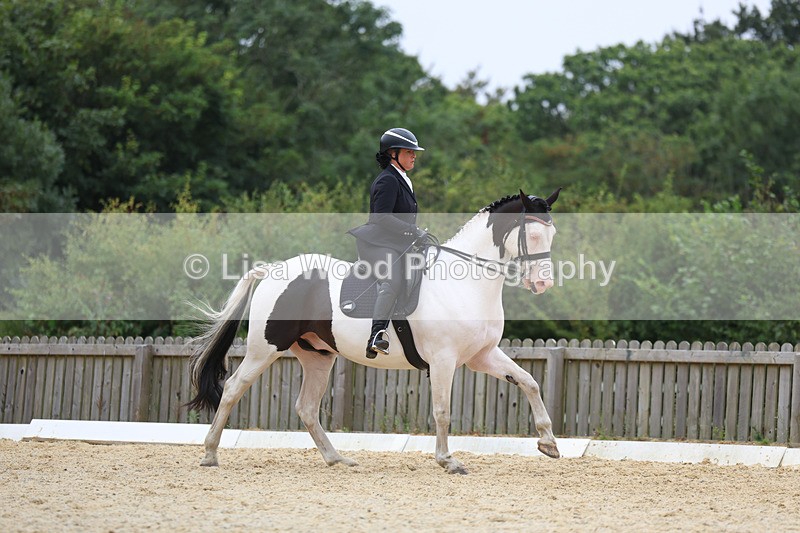 3E7A7369 - Class 9: Elementary 4 2024 - No sections