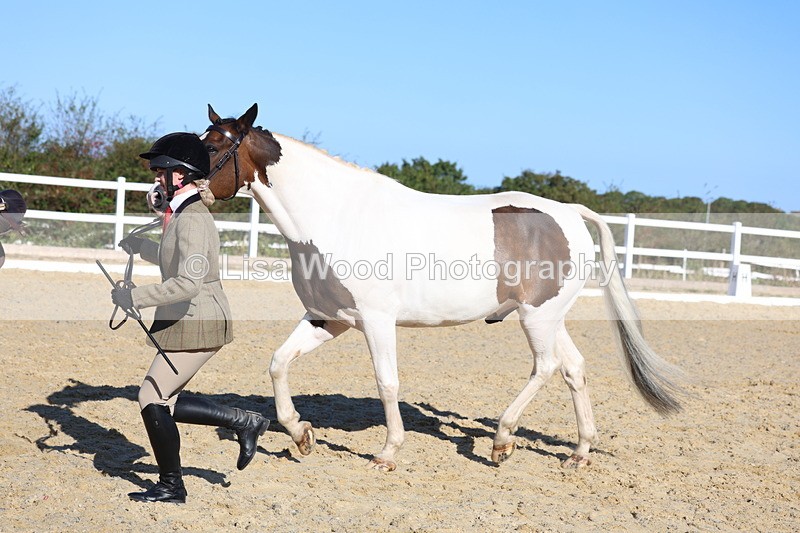 3E7A5324 - Class 8: Small Ridden Hunter