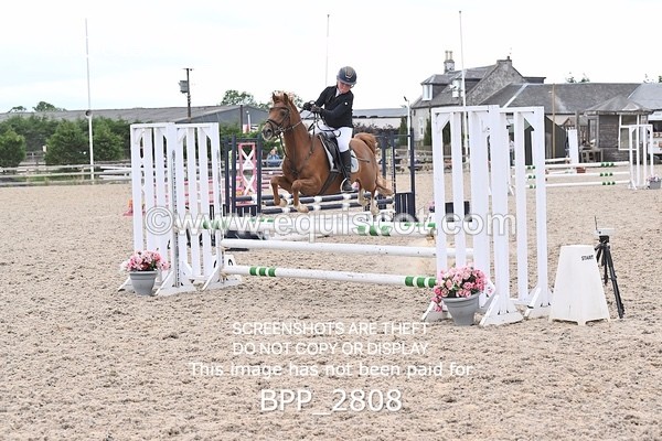 BPP_2808 - CLASS 5 STX-UK Pony BritiNovice / 0.80m Open