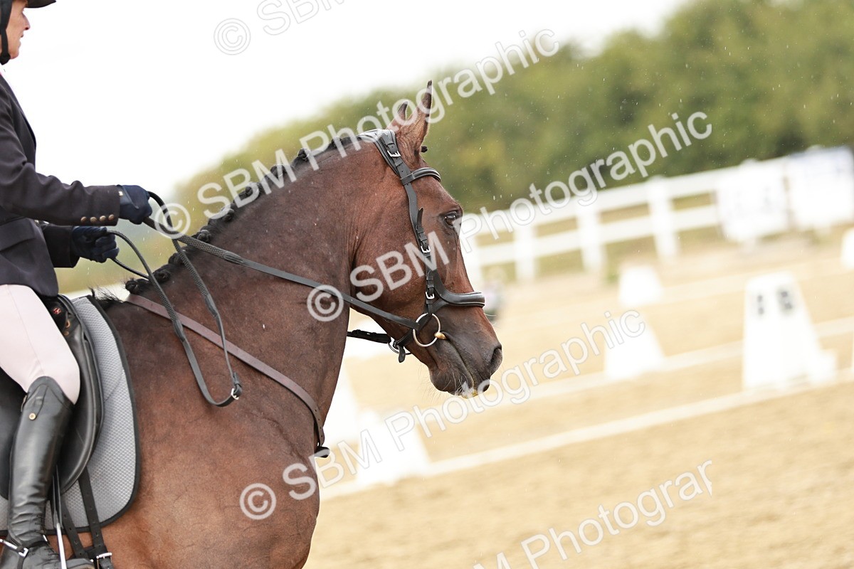 SBM_003685