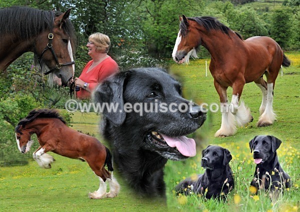 kirsty hyslop - KHyslop020112