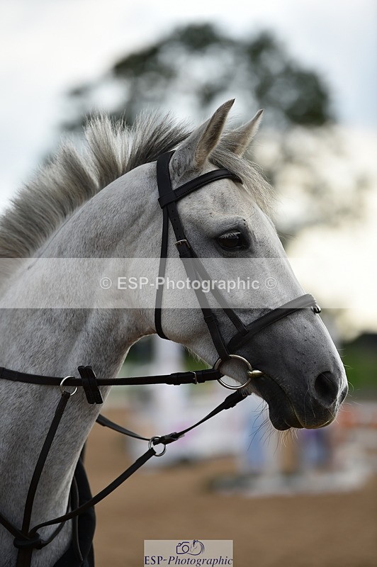 230902A-163740-02115 - Cls 4B Pony Big 1.05m