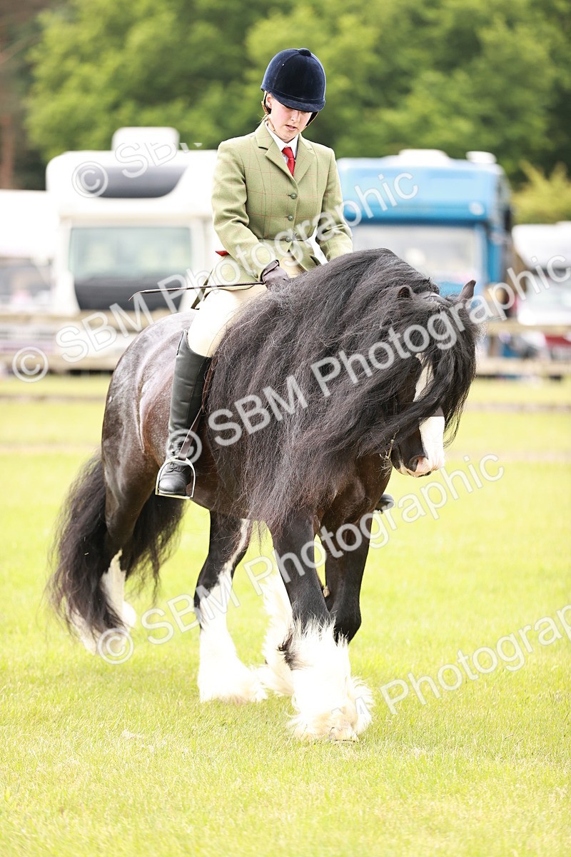 SBM_06144 - Class 39-41 TGCA In Hand and Ridden