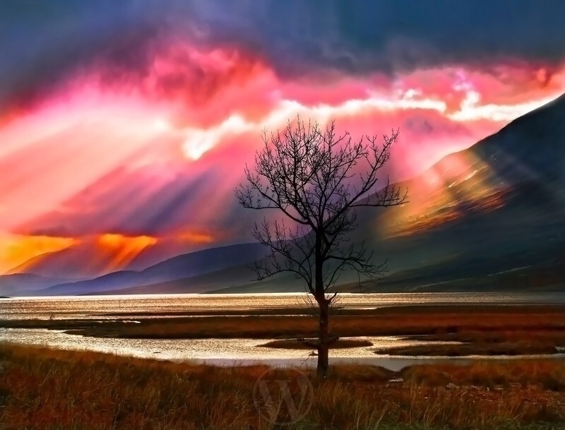 Loch Etive Scottish Highlands - Land